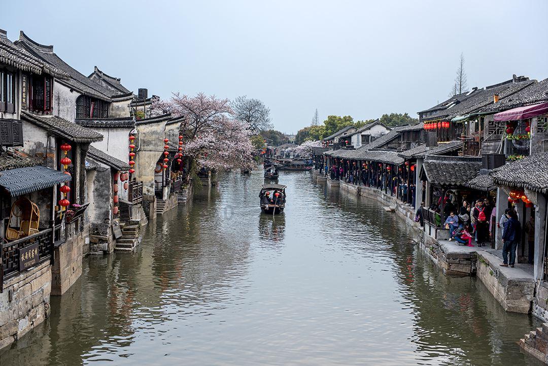 春雨直播app